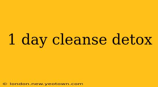 1 day cleanse detox