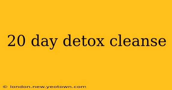 20 day detox cleanse