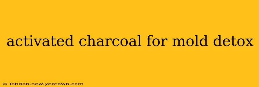 activated charcoal for mold detox