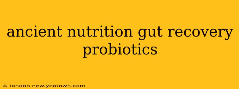 ancient nutrition gut recovery probiotics