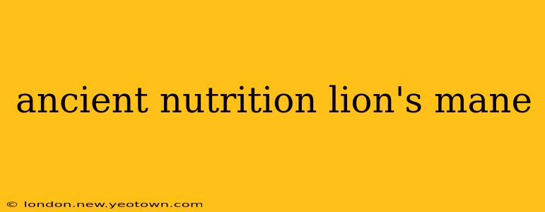 ancient nutrition lion's mane