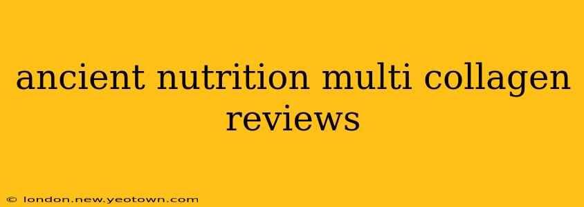 ancient nutrition multi collagen reviews