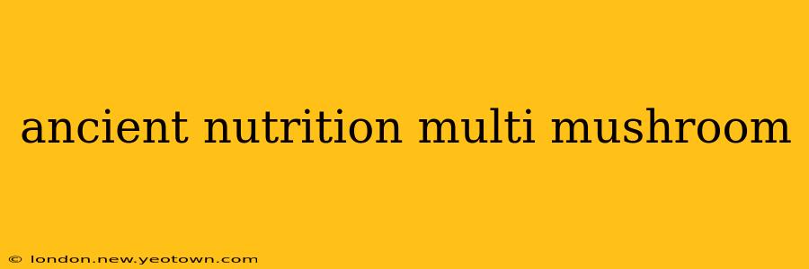 ancient nutrition multi mushroom