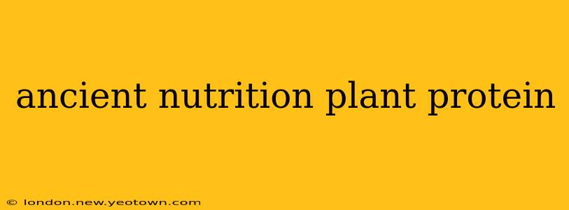 ancient nutrition plant protein