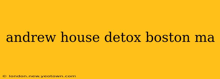 andrew house detox boston ma
