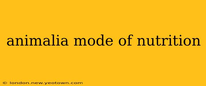 animalia mode of nutrition