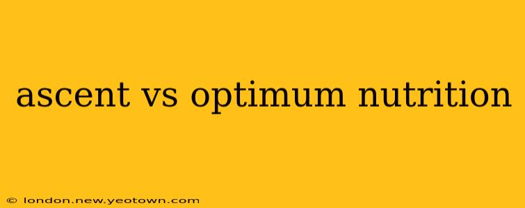 ascent vs optimum nutrition