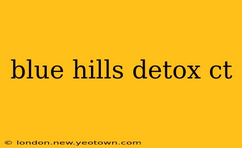 blue hills detox ct
