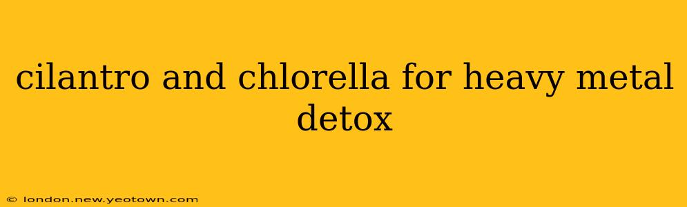 cilantro and chlorella for heavy metal detox