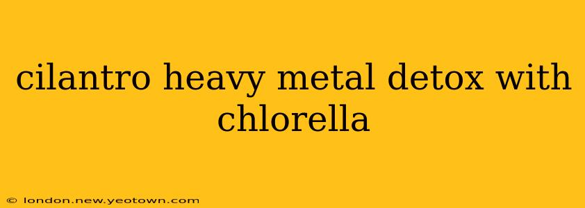 cilantro heavy metal detox with chlorella