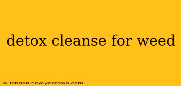 detox cleanse for weed