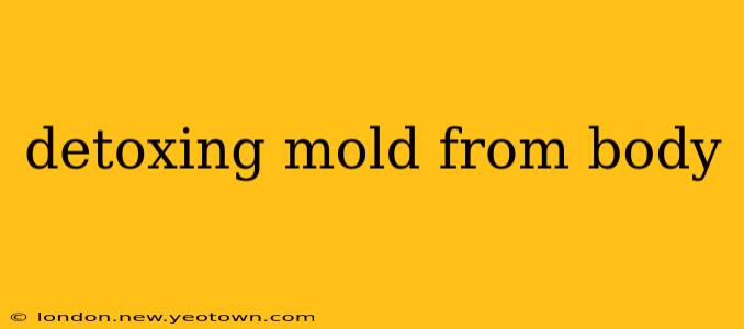 detoxing mold from body