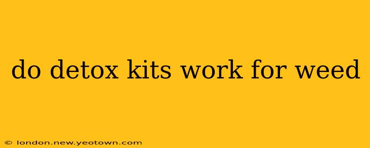 do detox kits work for weed