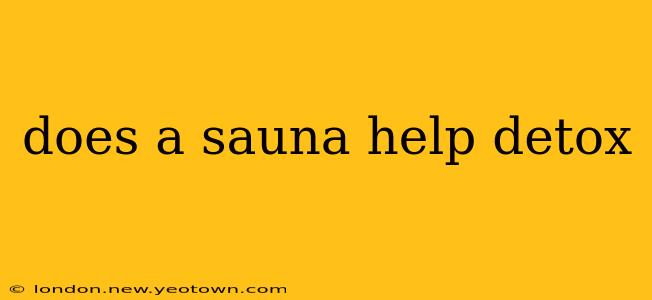 does a sauna help detox