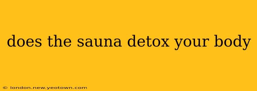 does the sauna detox your body