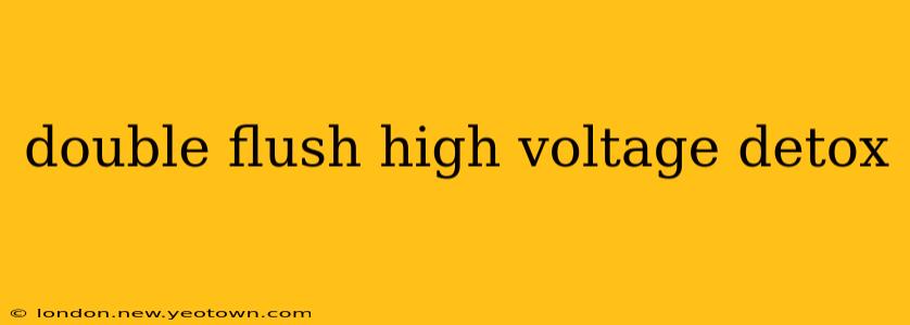 double flush high voltage detox