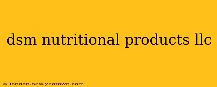 dsm nutritional products llc