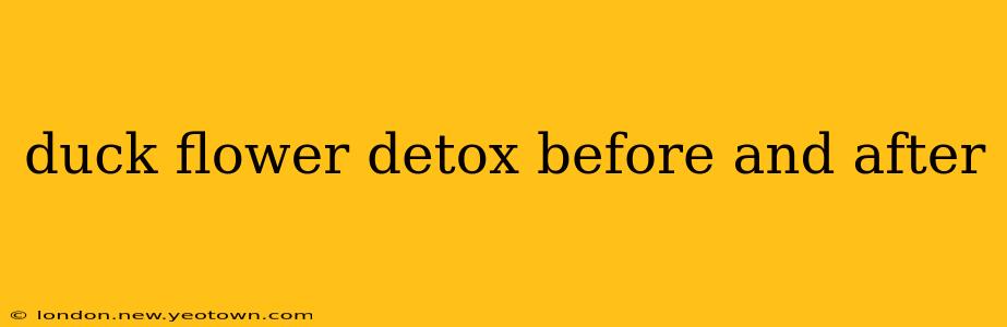 duck flower detox before and after