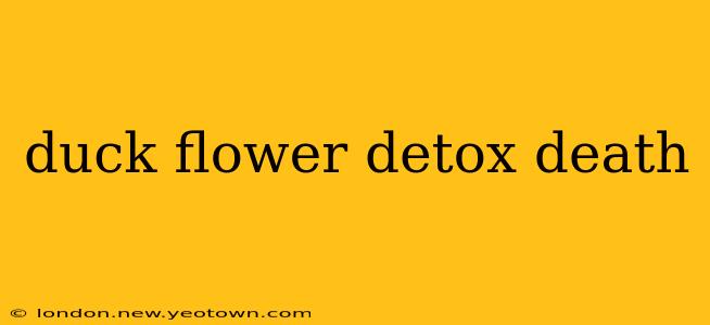 duck flower detox death