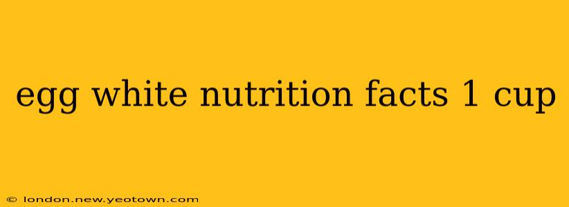 egg white nutrition facts 1 cup