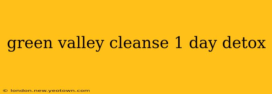 green valley cleanse 1 day detox