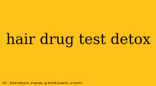 hair drug test detox