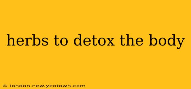 herbs to detox the body