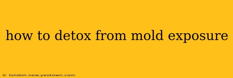 how to detox from mold exposure