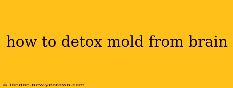 how to detox mold from brain