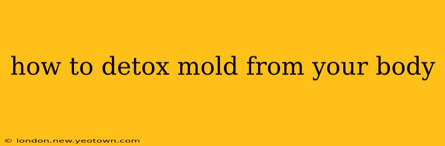 how to detox mold from your body