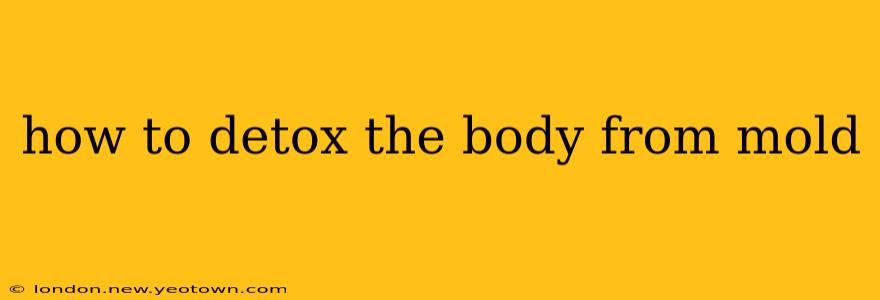 how to detox the body from mold