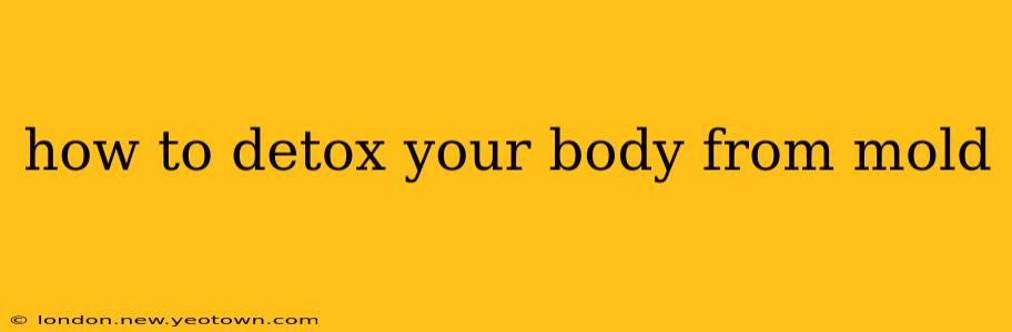 how to detox your body from mold