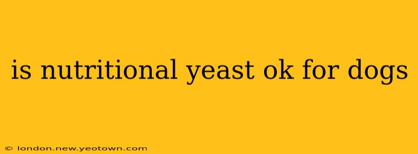 is nutritional yeast ok for dogs