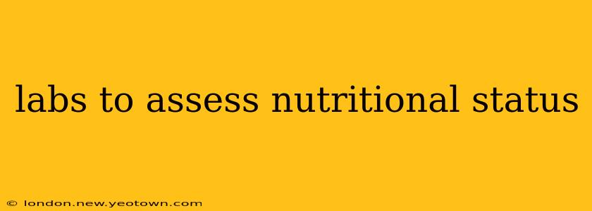 labs to assess nutritional status
