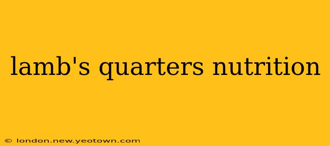 lamb's quarters nutrition