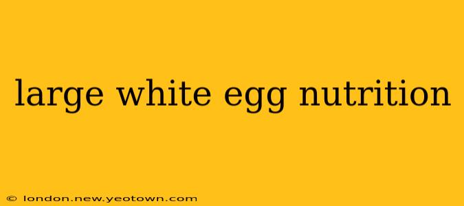 large white egg nutrition