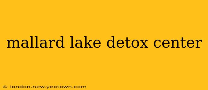 mallard lake detox center