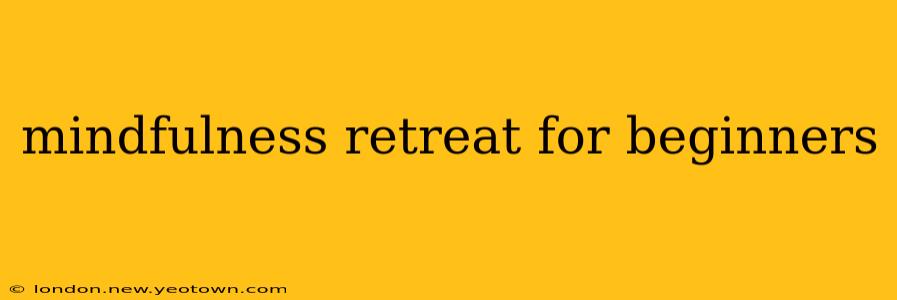 mindfulness retreat for beginners
