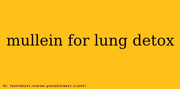 mullein for lung detox