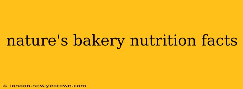 nature's bakery nutrition facts