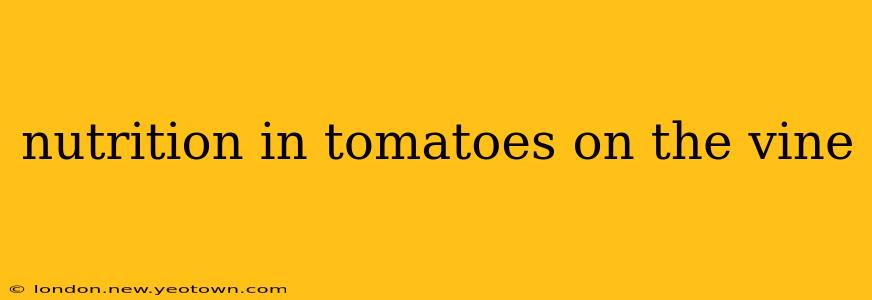 nutrition in tomatoes on the vine