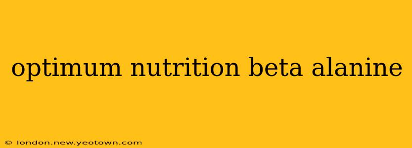 optimum nutrition beta alanine
