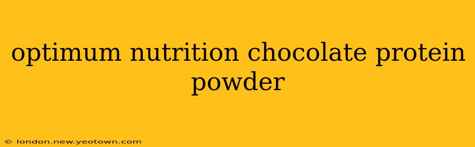 optimum nutrition chocolate protein powder