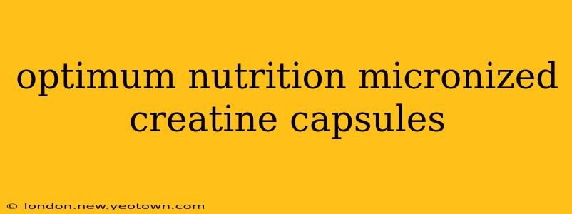 optimum nutrition micronized creatine capsules