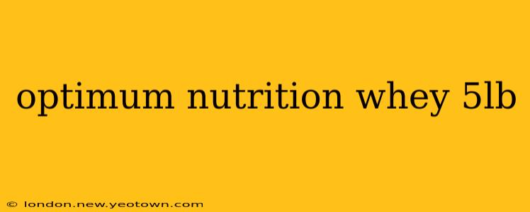 optimum nutrition whey 5lb