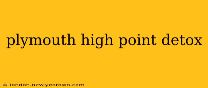 plymouth high point detox