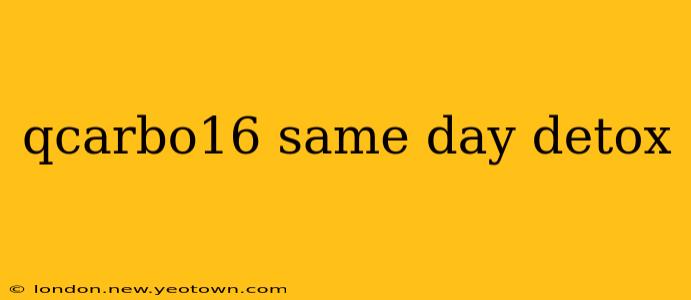 qcarbo16 same day detox