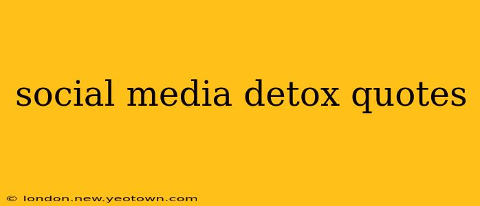 social media detox quotes