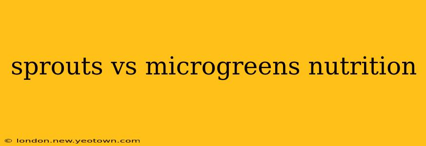 sprouts vs microgreens nutrition