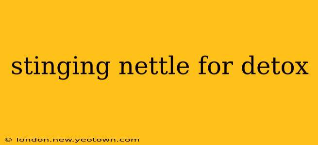 stinging nettle for detox